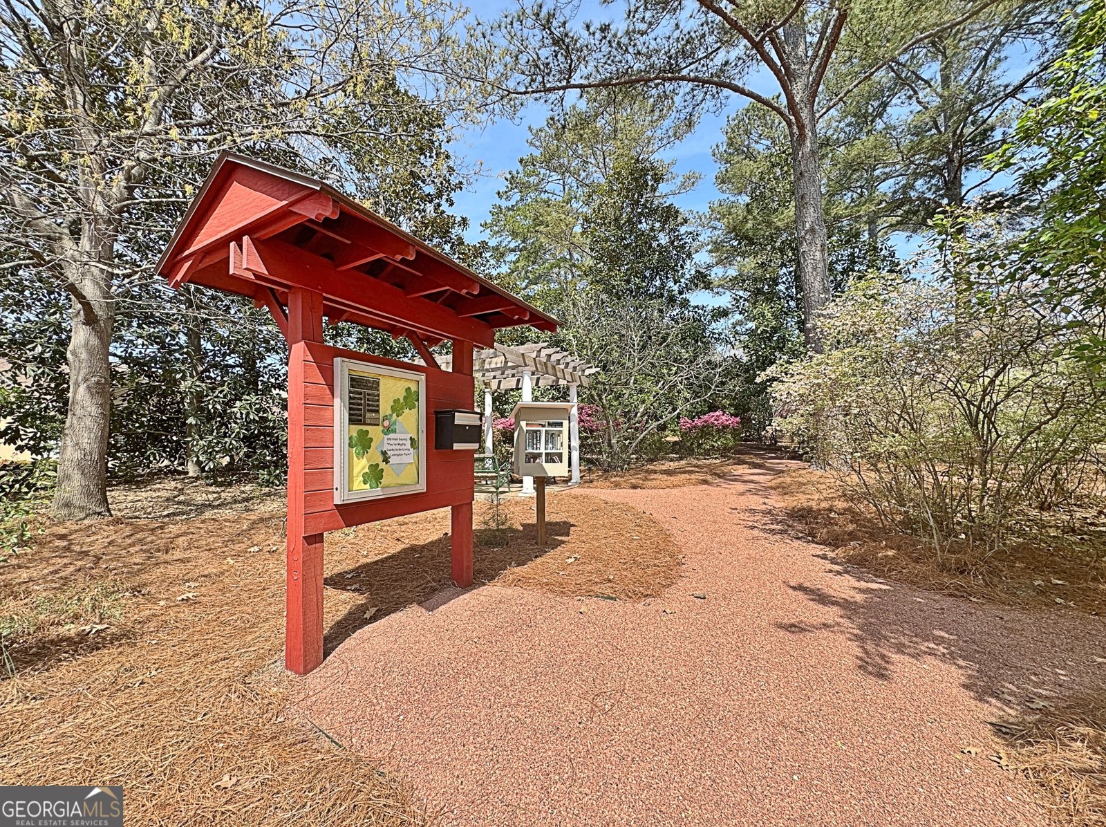 226 Collierstown Way Peachtree City - Photo 63