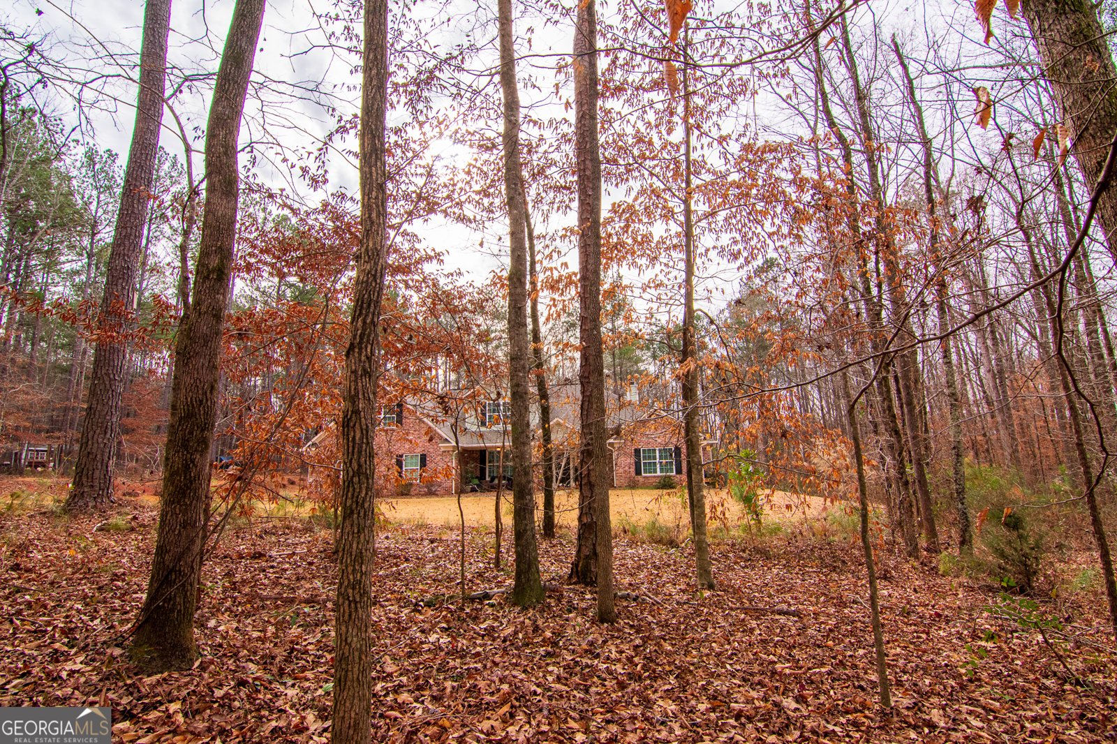 3337 Lower Blue Springs Road Hamilton - Photo 36