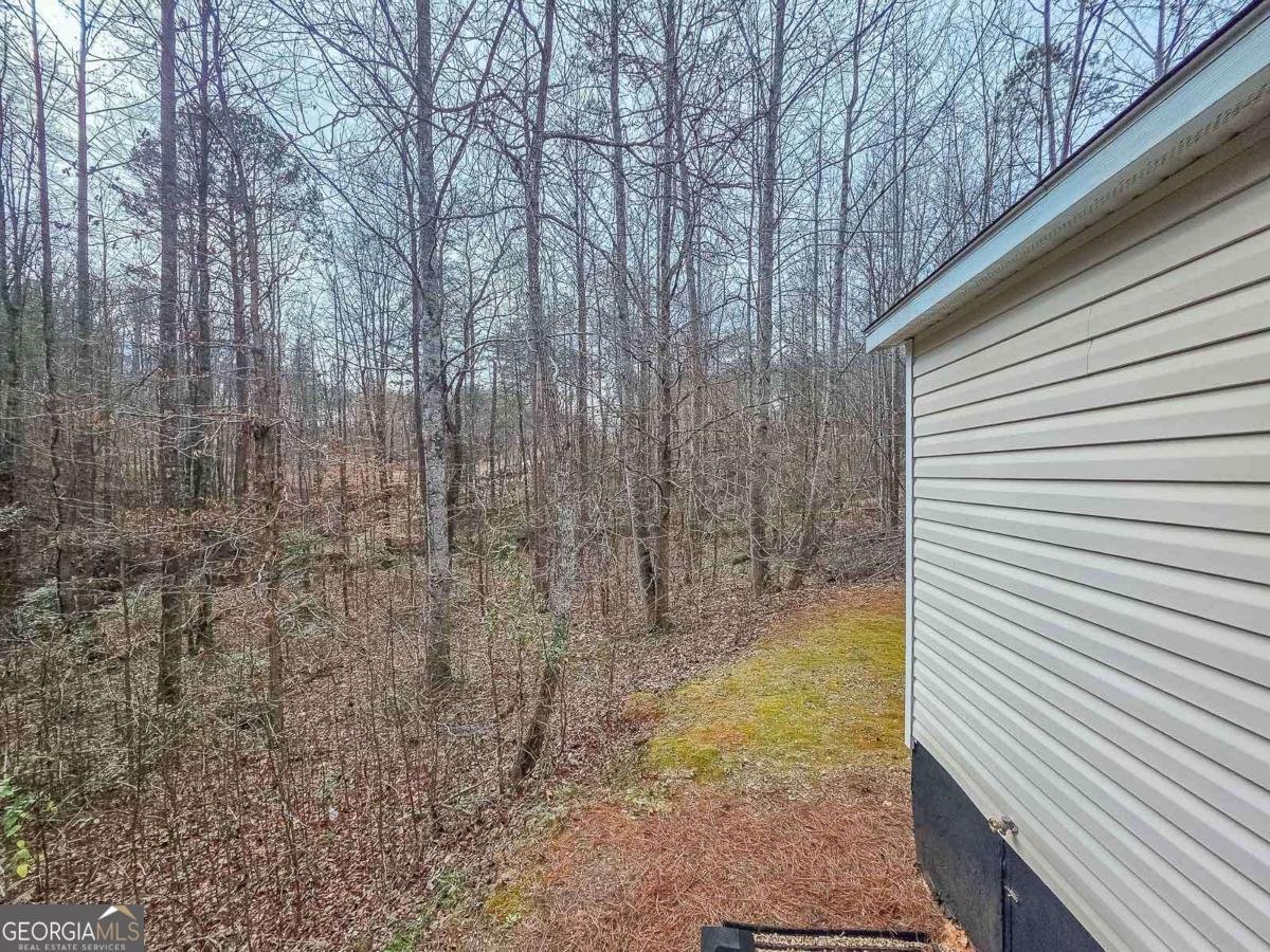 234 Pine Tree Lane Dahlonega - Photo 39