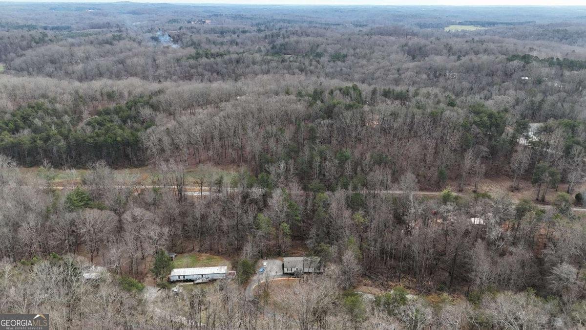 234 Pine Tree Lane Dahlonega - Photo 41