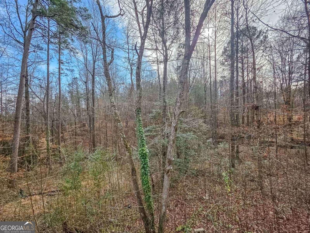 234 Pine Tree Lane Dahlonega - Photo 42