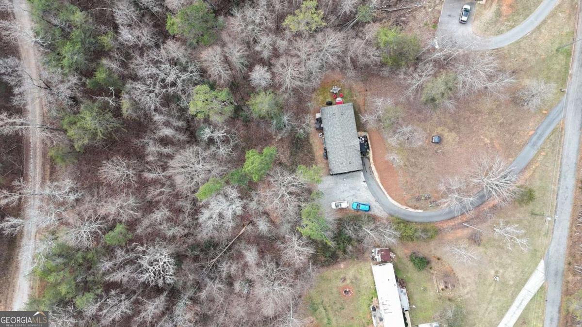 234 Pine Tree Lane Dahlonega - Photo 43