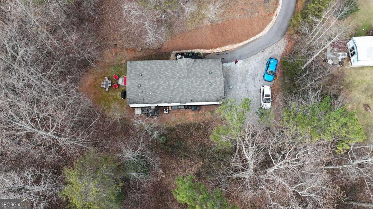 234 Pine Tree Lane Dahlonega - Photo 46