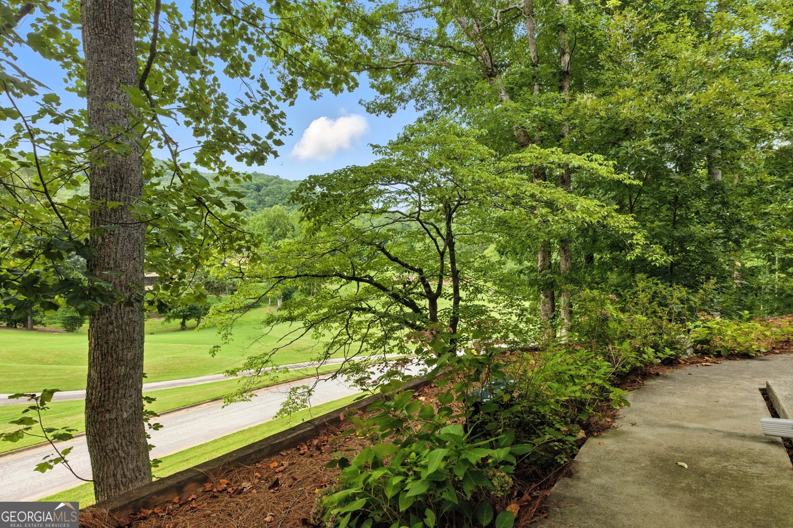 251 Shakespeare Drive Clayton - Photo 22