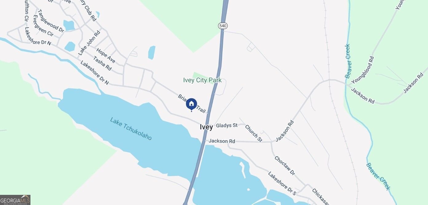 110 Briarcliff Trail Ivey - Photo 23