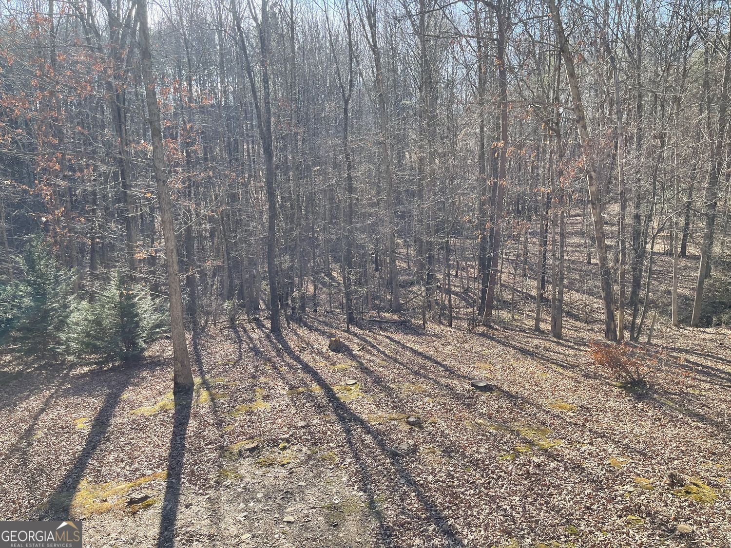 224 Chimney Sweep Trail Fairmount - Photo 25