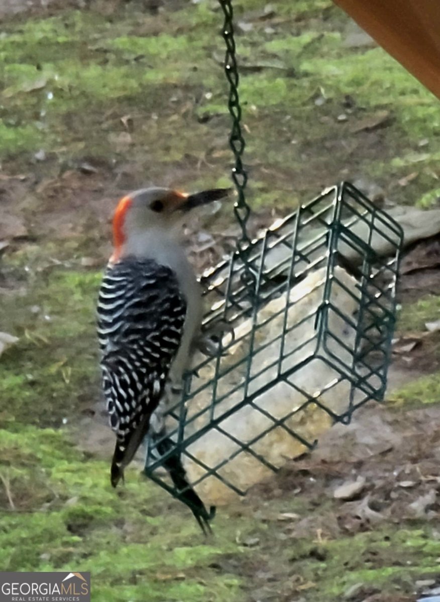 224 Chimney Sweep Trail Fairmount - Photo 48