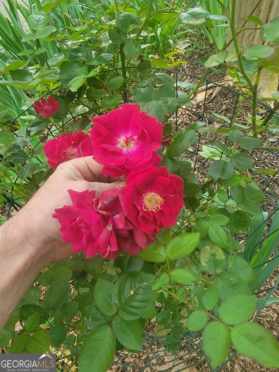 224 Chimney Sweep Trail Fairmount - Photo 51