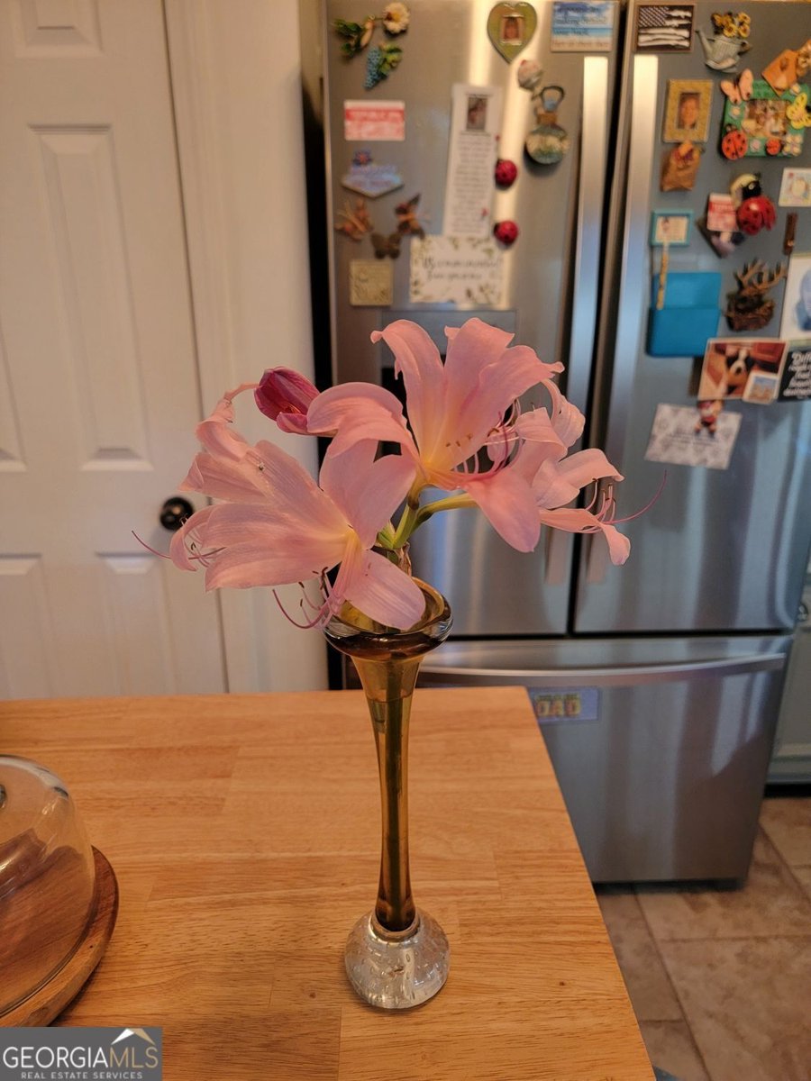 224 Chimney Sweep Trail Fairmount - Photo 56