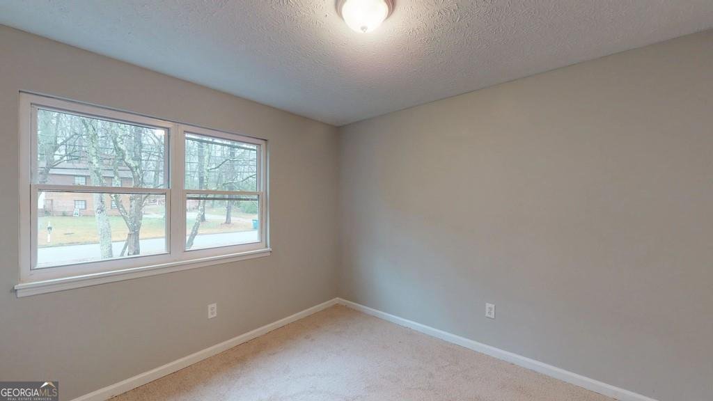 4081 Willow Ridge Road Douglasville - Photo 7