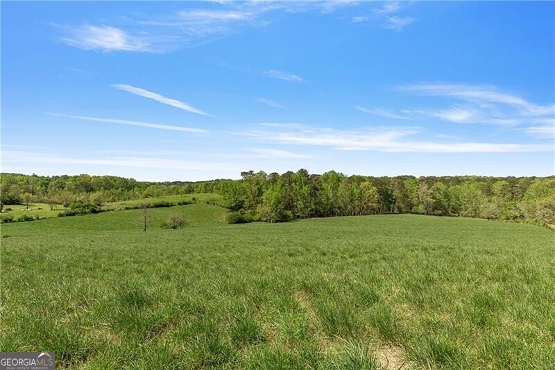 8405 Hearn Road Palmetto - Photo 19