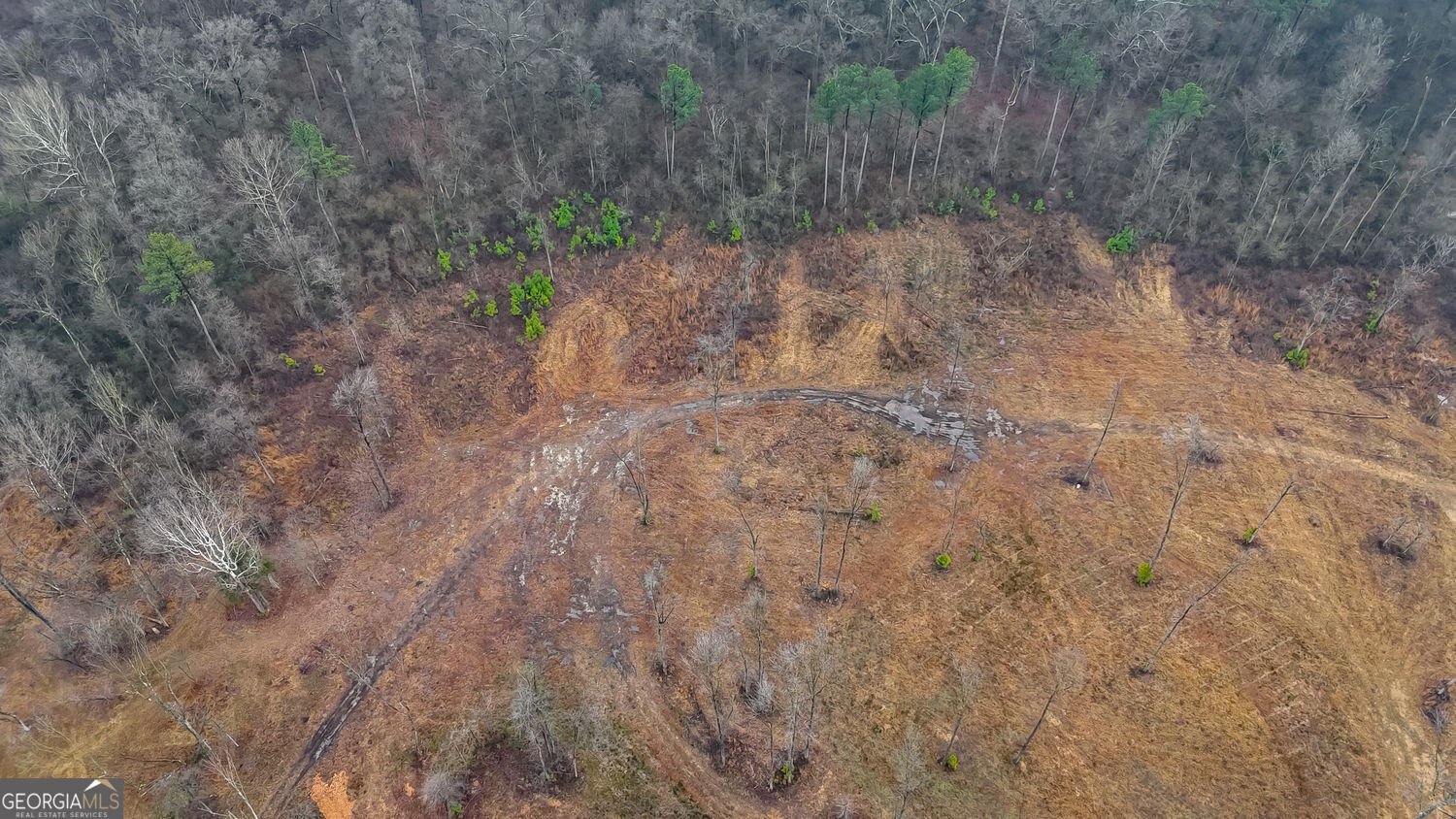 1581 Taylor Town Road Ranger - Photo 28