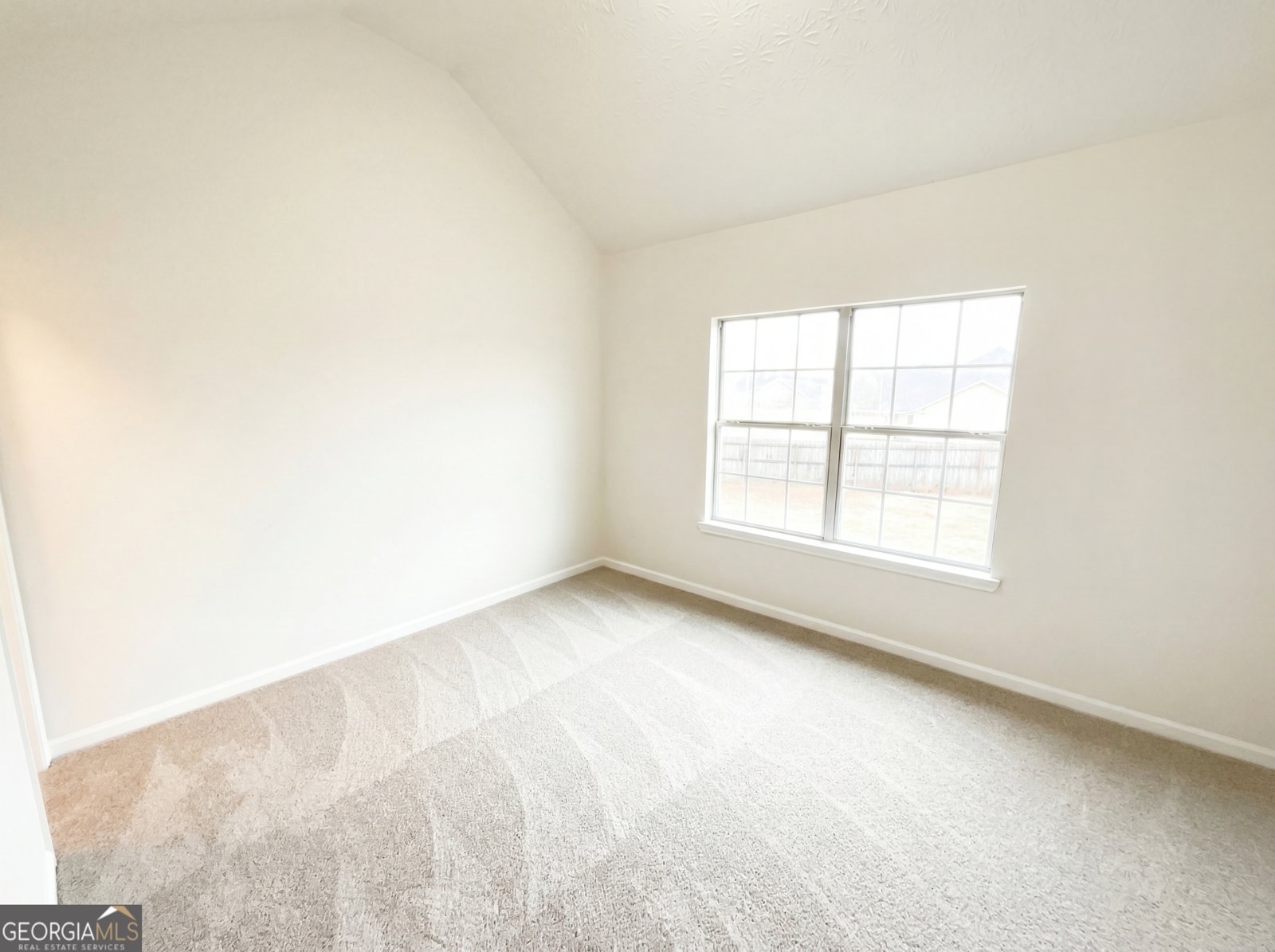 736 Tullamore Way Hampton - Photo 13