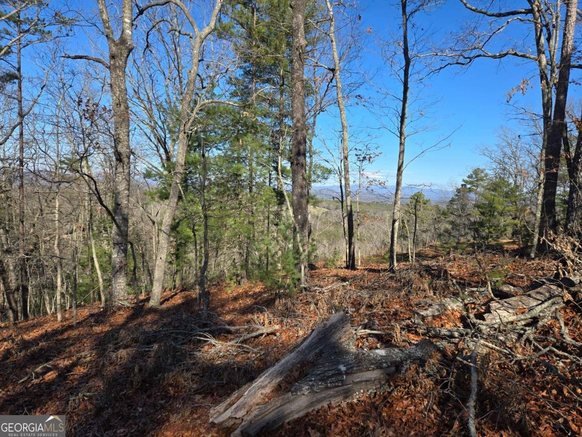 416 Undisclosed Drive Morganton - Photo 35