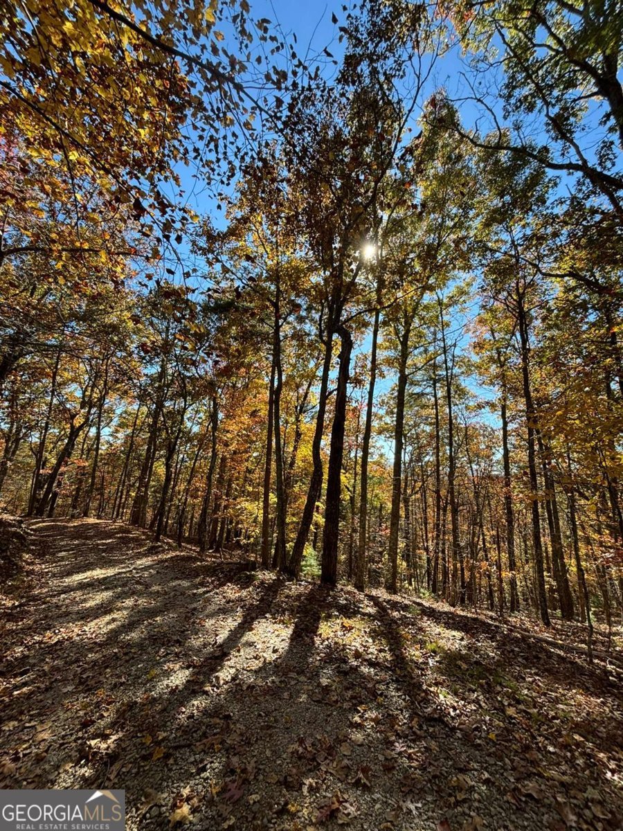 416 Undisclosed Drive Morganton - Photo 36