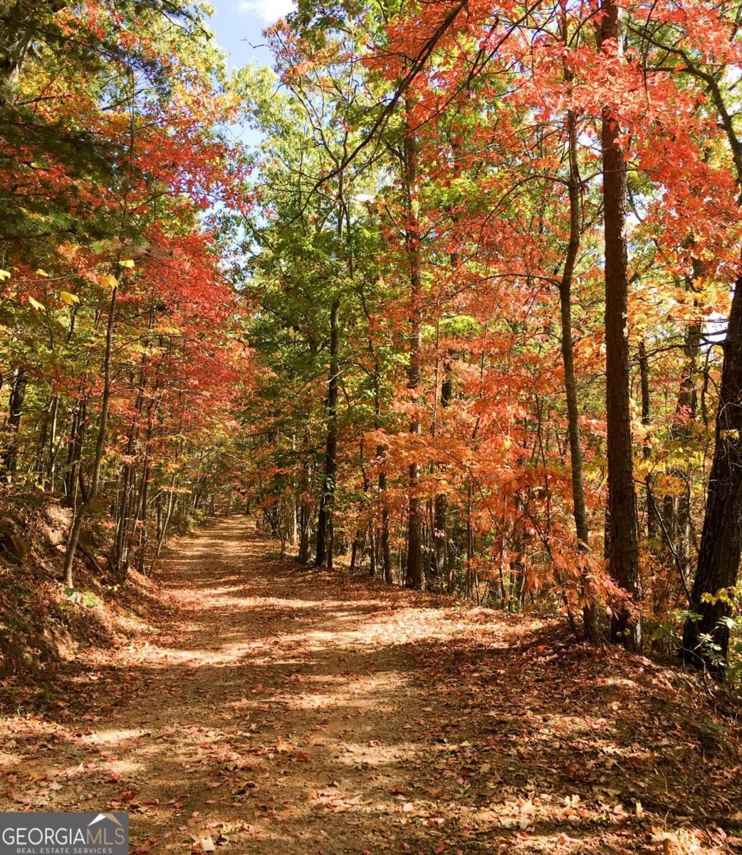 416 Undisclosed Drive Morganton - Photo 6