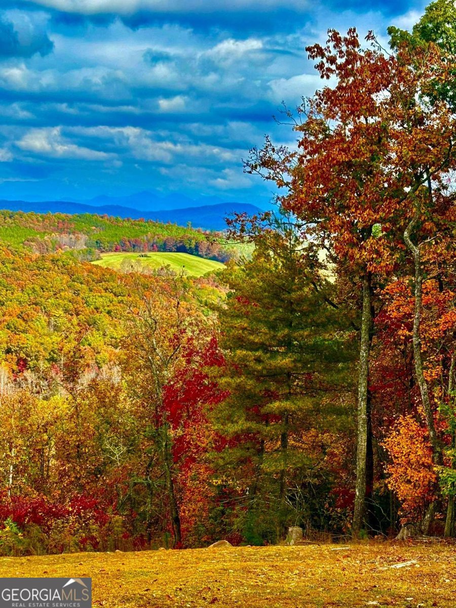 416 Undisclosed Drive Morganton - Photo 8