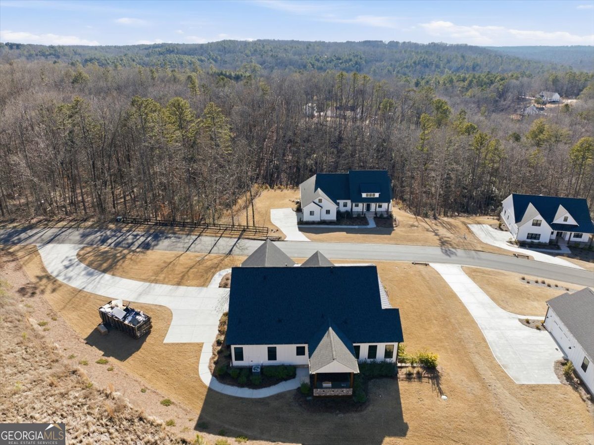 300 Oxford Road Ball Ground - Photo 56