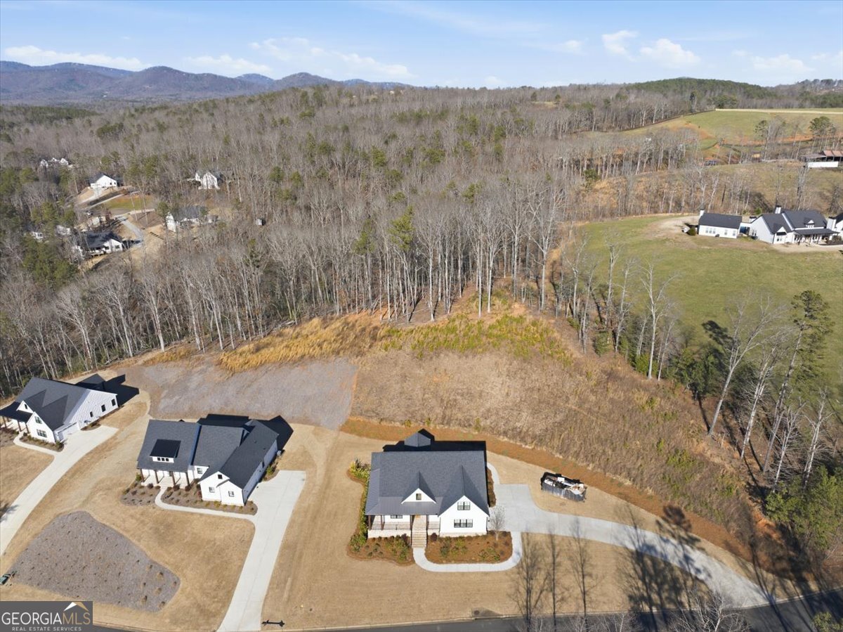 300 Oxford Road Ball Ground - Photo 59