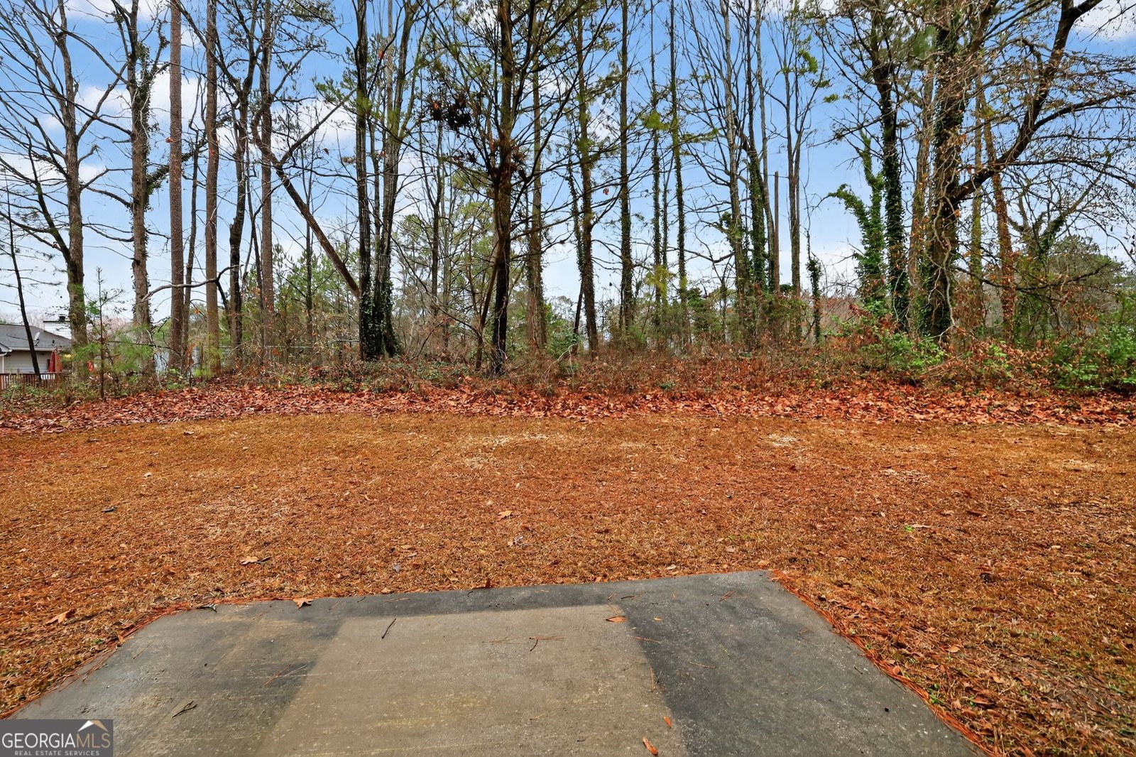 4586 High Gate Lane Lithonia - Photo 32