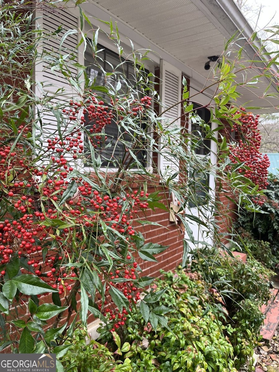 256 Black Rock Mountain Parkway Clayton - Photo 10