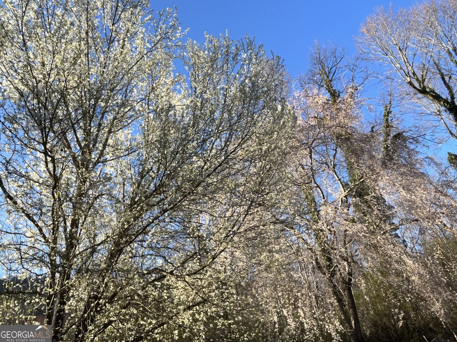 256 Black Rock Mountain Parkway Clayton - Photo 38