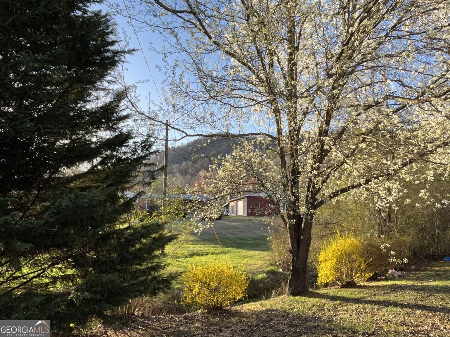 256 Black Rock Mountain Parkway Clayton - Photo 39