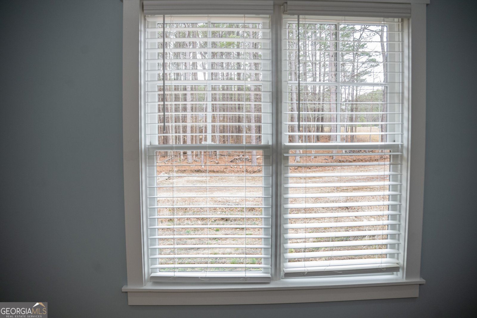 151 Cherokee Point Drive Canton - Photo 114