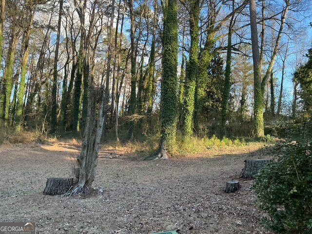 2366 Country Club Drive Atlanta - Photo 8