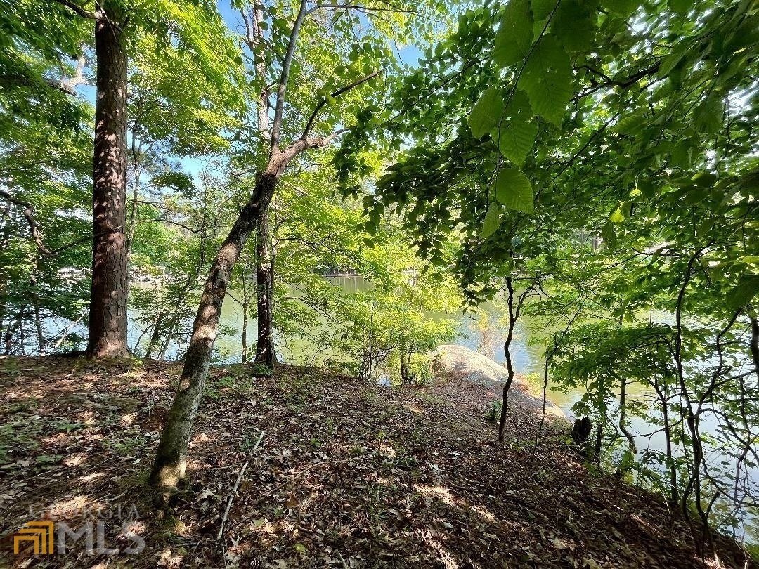 172 Nighthawk Court Monticello - Photo 64