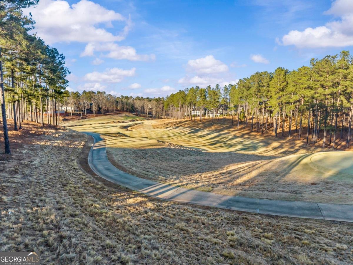 1230 Cottage Lane East Greensboro - Photo 66