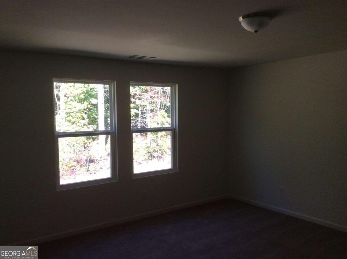 7288 Emma Court Douglasville - Photo 12