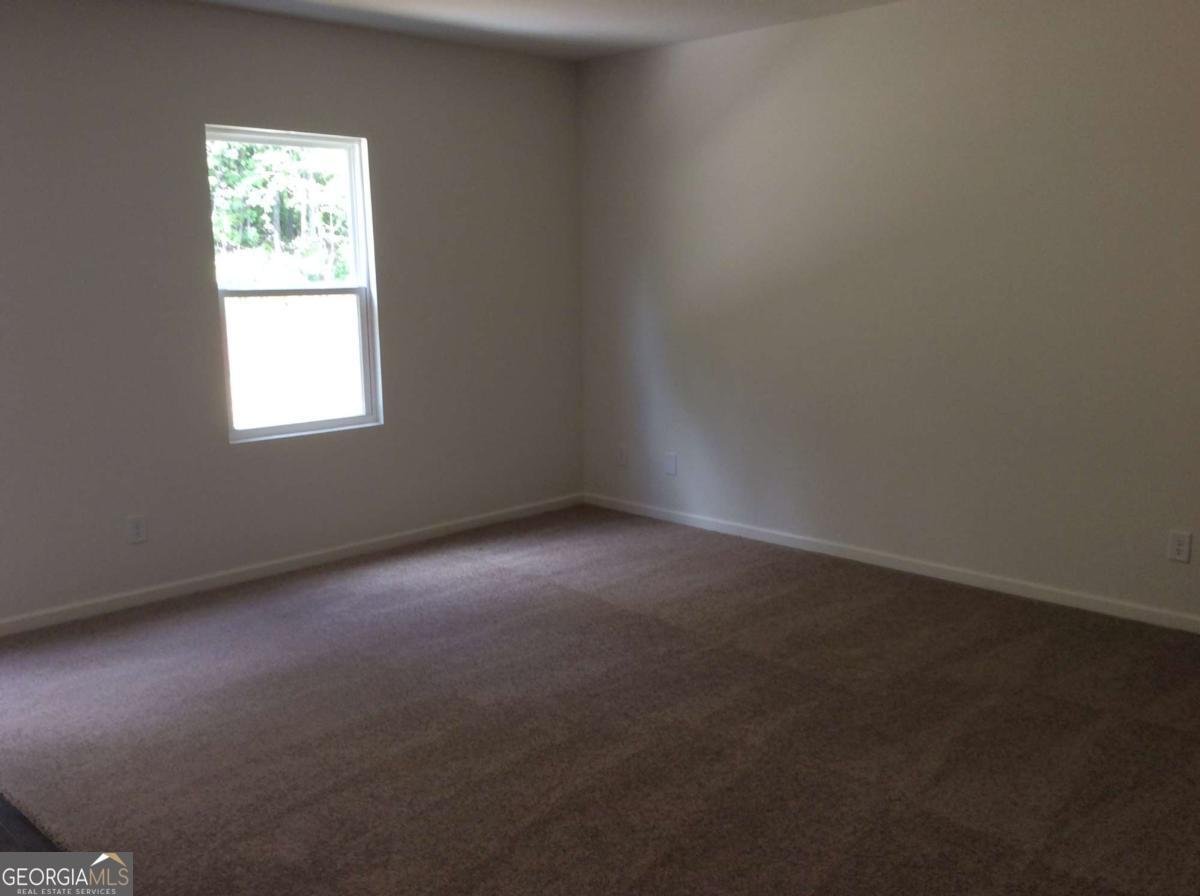 7288 Emma Court Douglasville - Photo 19