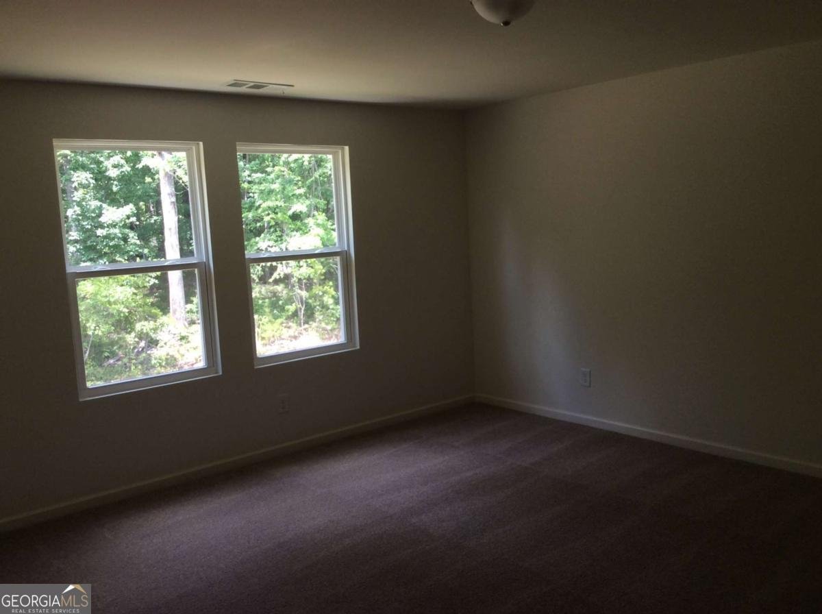 7288 Emma Court Douglasville - Photo 29