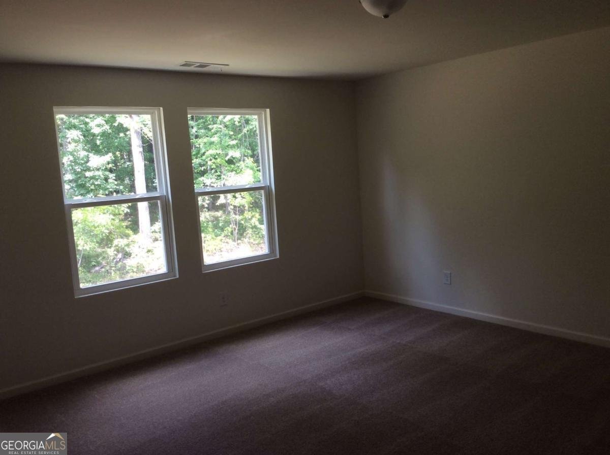 7288 Emma Court Douglasville - Photo 30