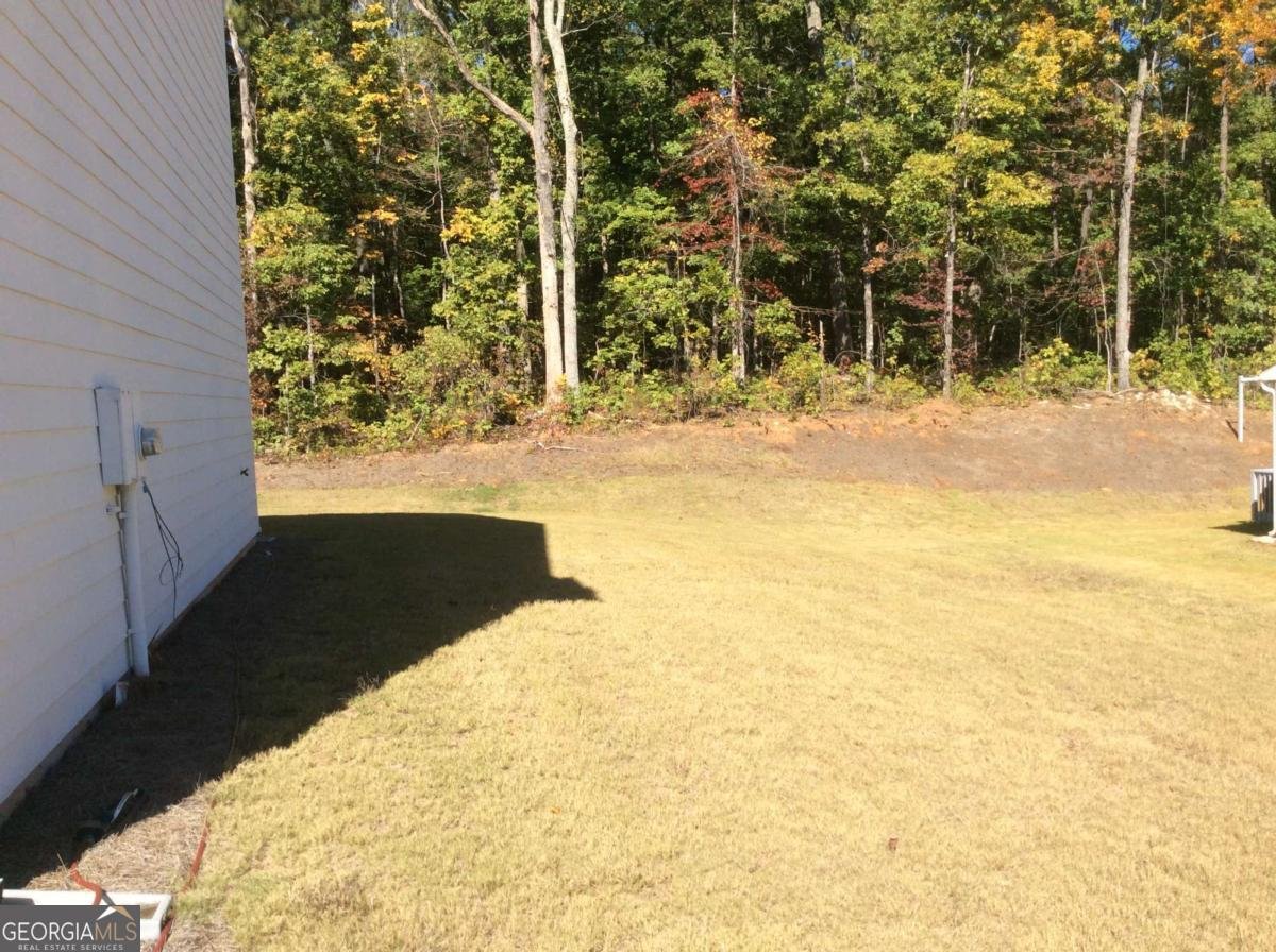 7288 Emma Court Douglasville - Photo 32