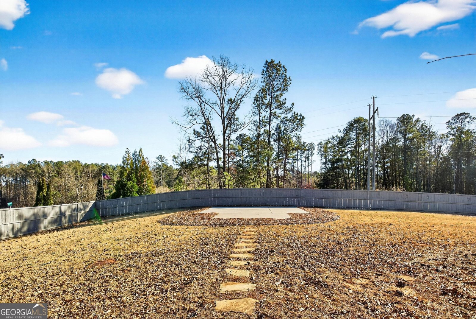 100 Southmill Lane Senoia - Photo 21