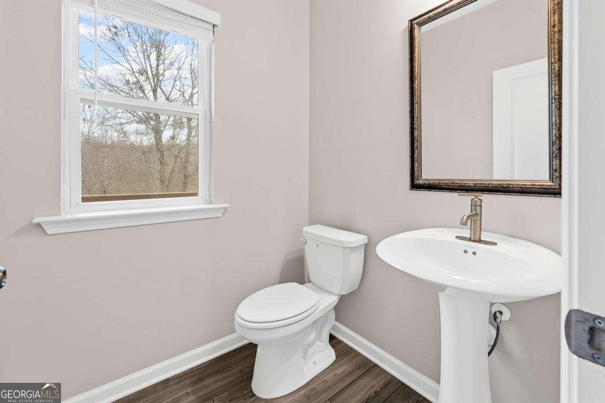 2247 Pink Hawthorn Dr Buford - Photo 21