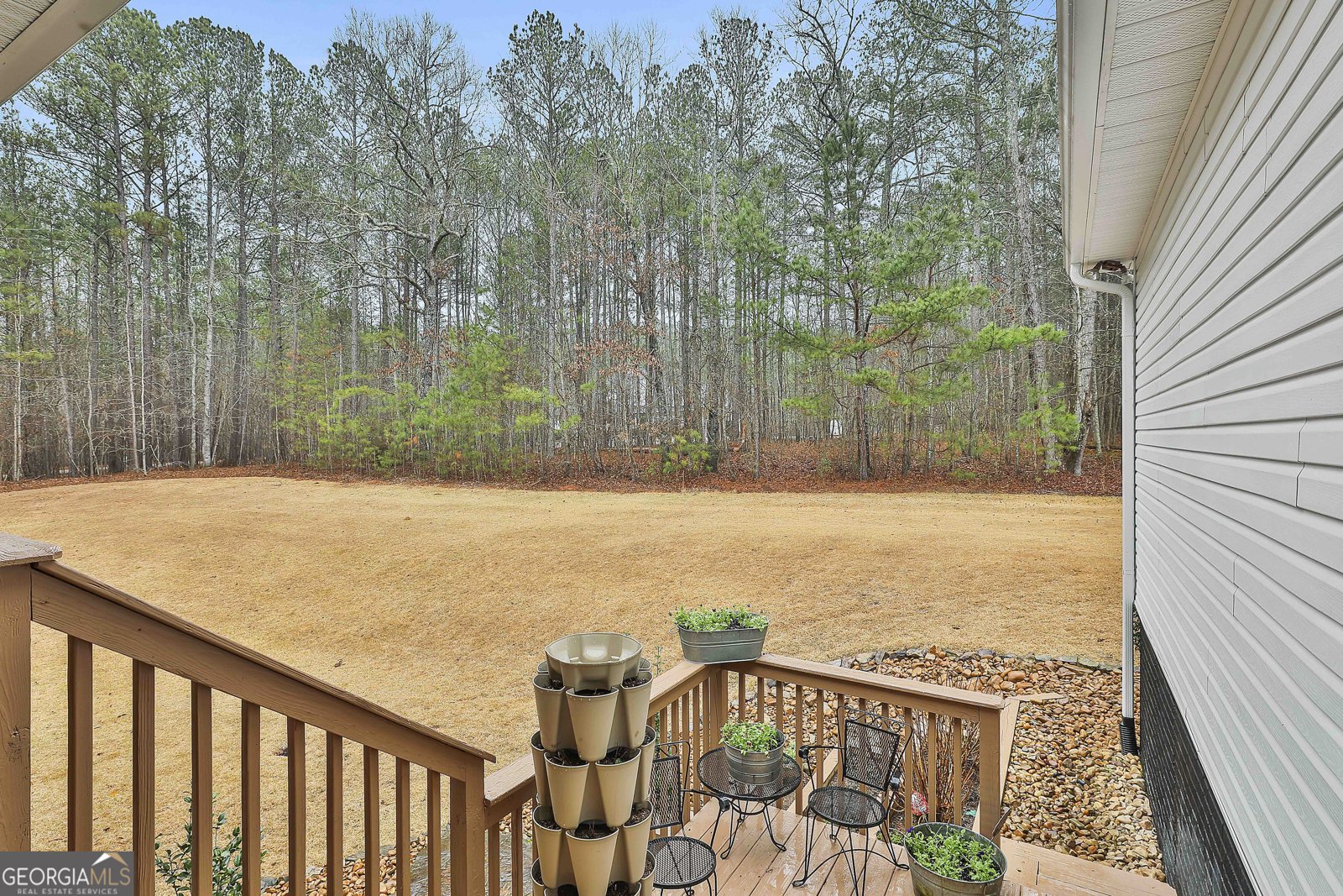 260 Nixon Road Senoia - Photo 55