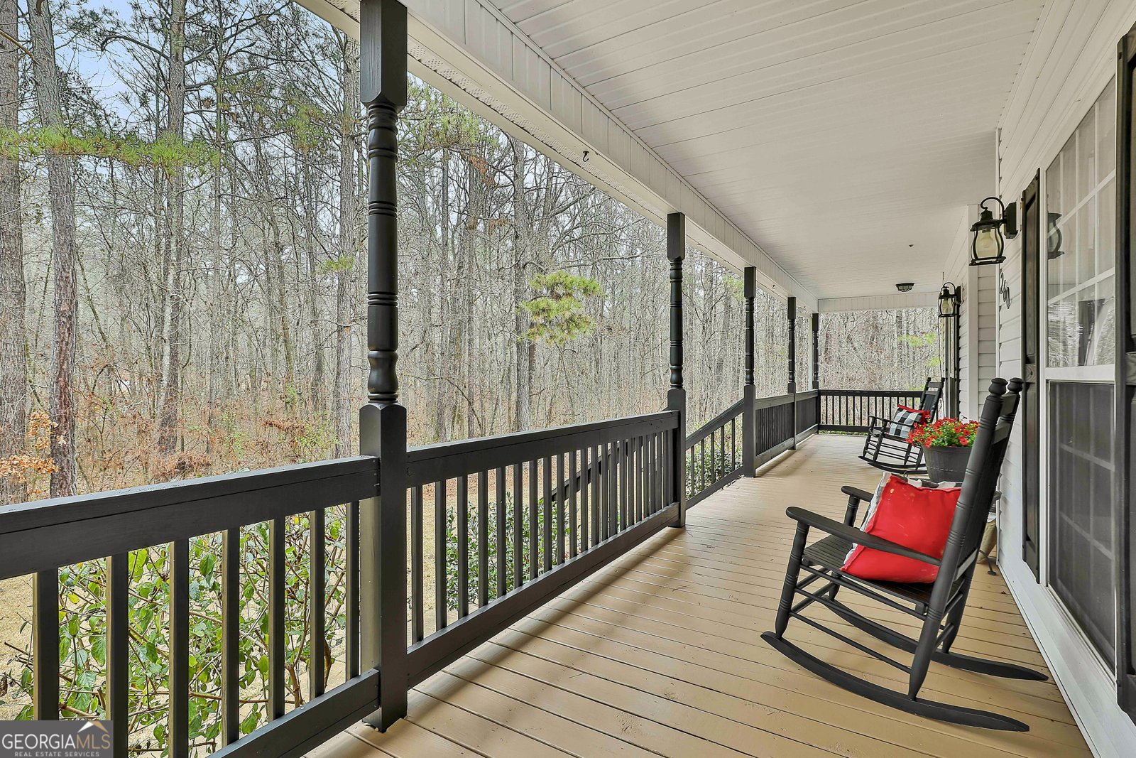260 Nixon Road Senoia - Photo 9