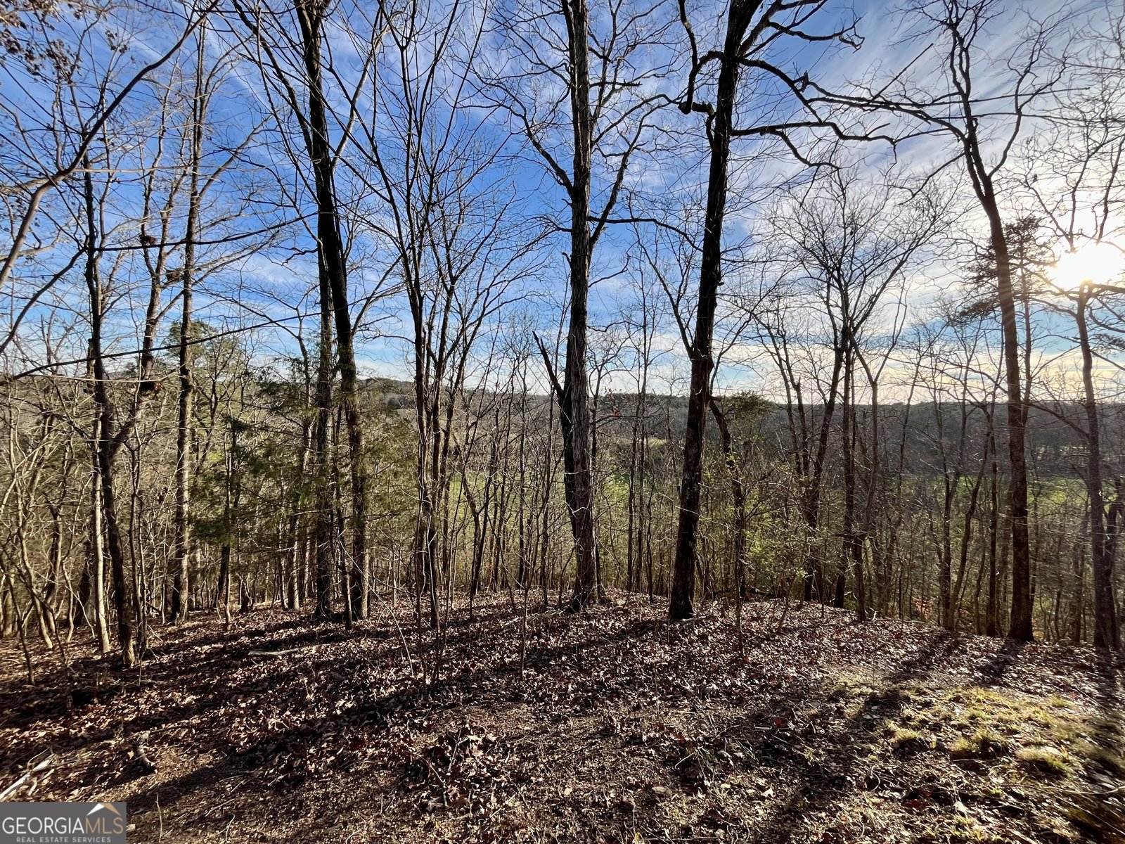 10667 Highway 411 Chatsworth - Photo 18