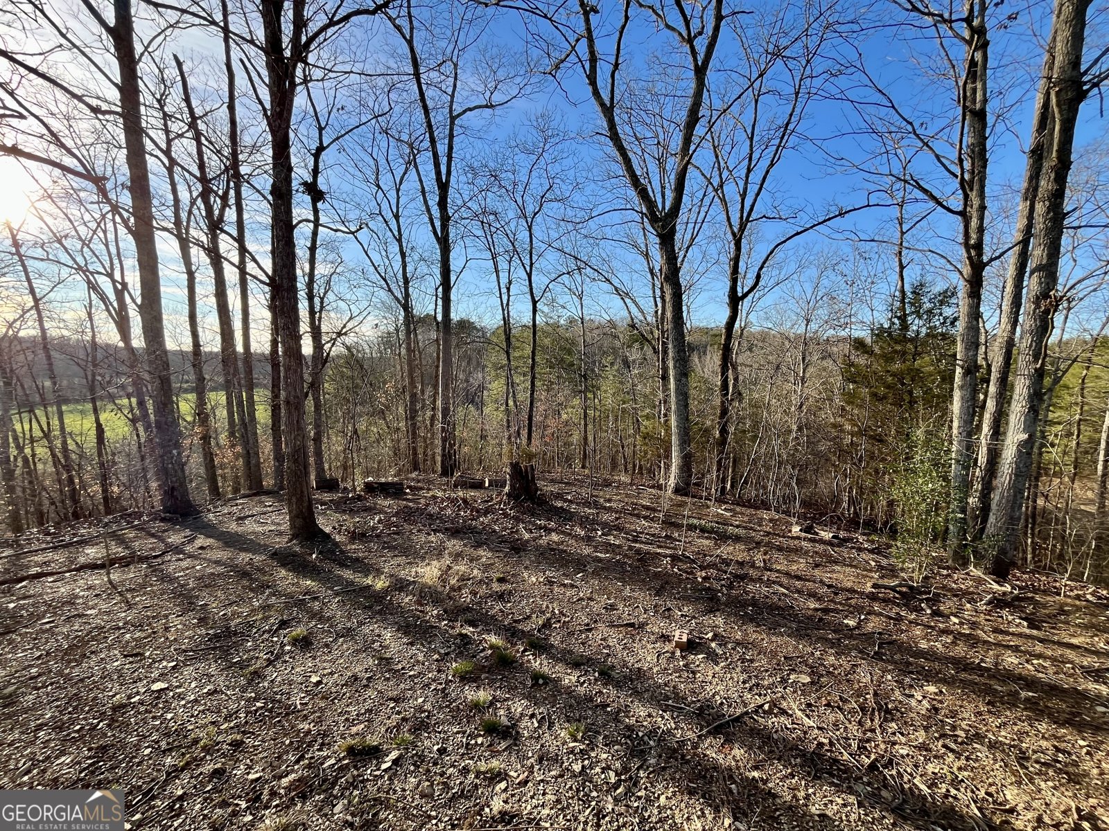 10667 Highway 411 Chatsworth - Photo 20