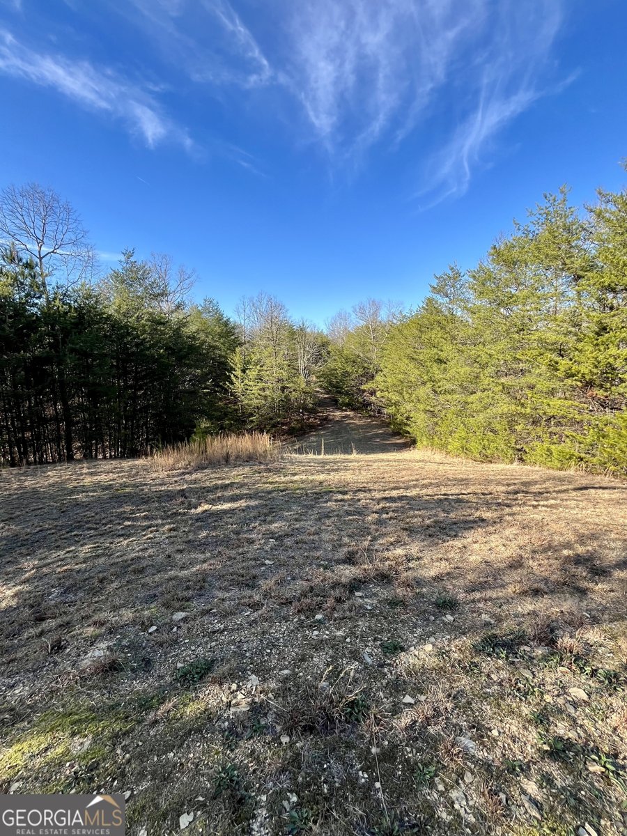 10667 Highway 411 Chatsworth - Photo 24