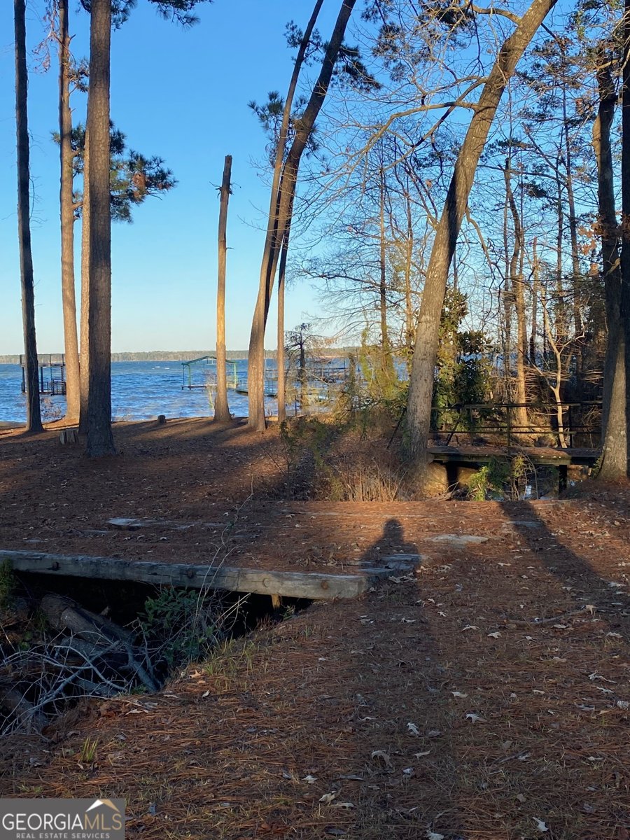 1008 Lakeshore Drive Abbeville - Photo 26