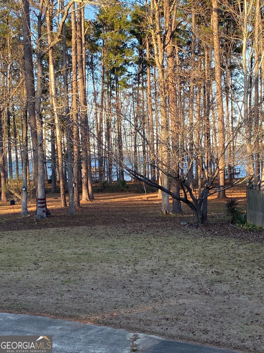 1008 Lakeshore Drive Abbeville - Photo 27