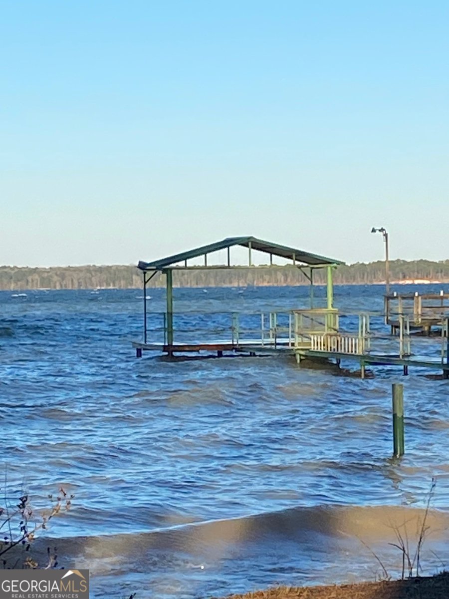 1008 Lakeshore Drive Abbeville - Photo 28