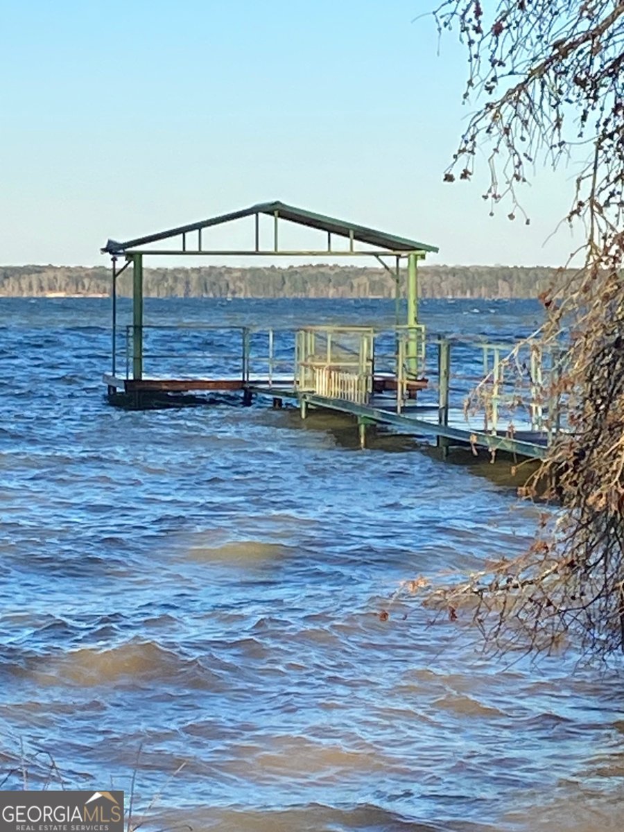 1008 Lakeshore Drive Abbeville - Photo 30