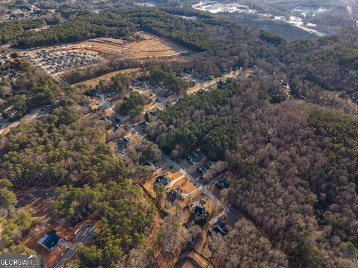 3020 Templeton Lane Loganville - Photo 56
