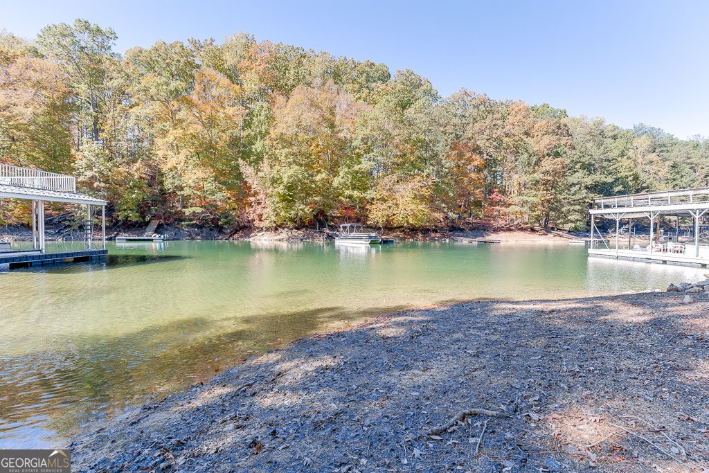 5984 Dolvin Lane Buford - Photo 47