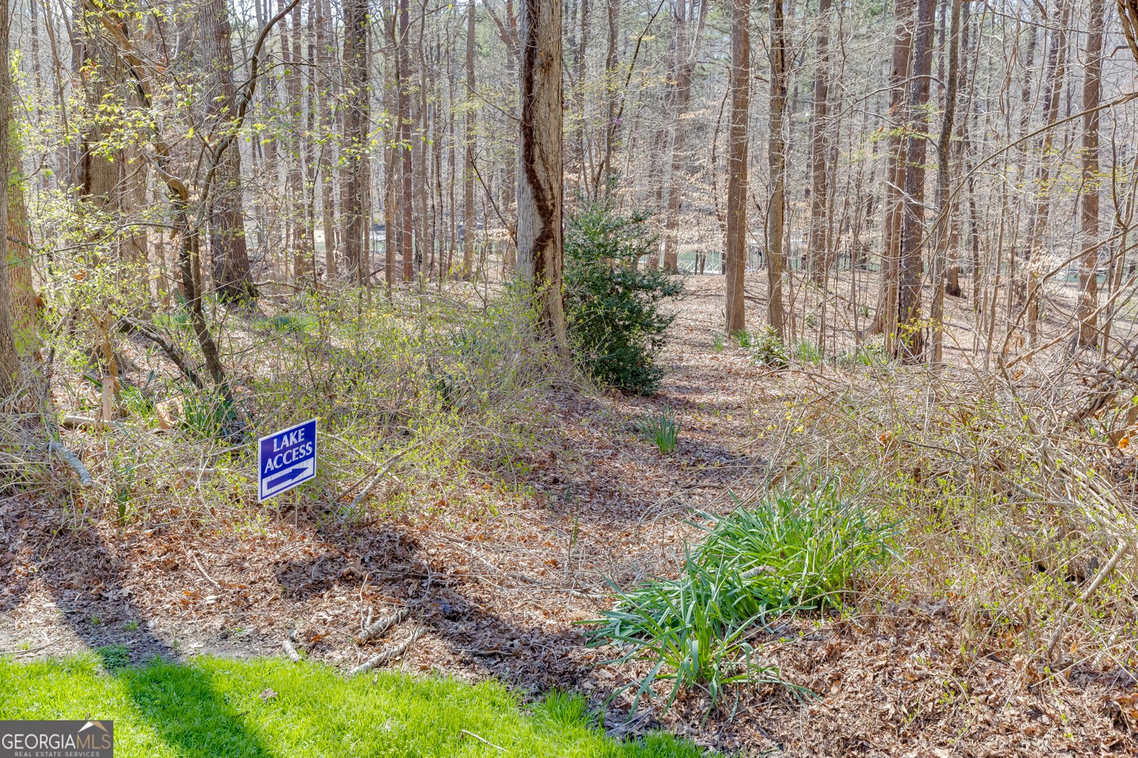 5984 Dolvin Lane Buford - Photo 62